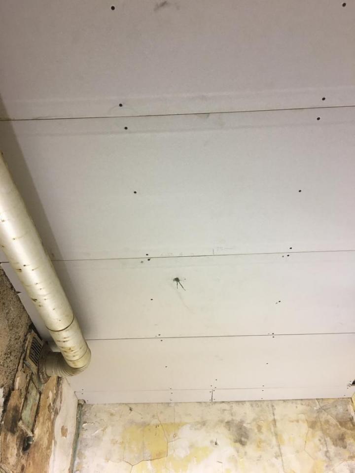 Aménagement intérieur Dijon