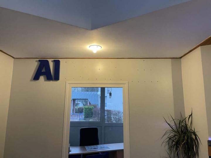 Travaux de peinture décorative Dijon