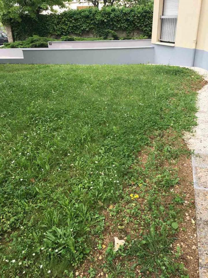 Travaux de peinture décorative Dijon